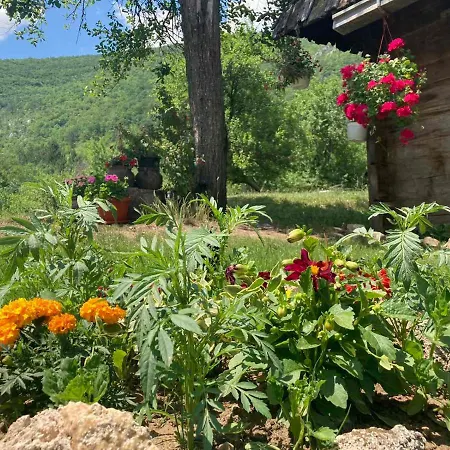 Mara * Мокра-Гора