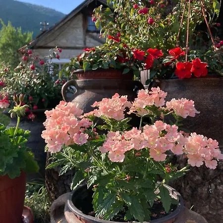 Апартаменты Mara