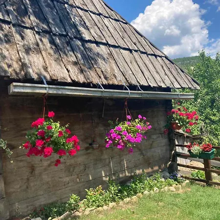 Апартаменты Mara *