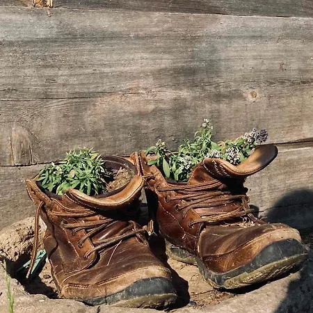 Mara Апартаменты Мокра-Гора