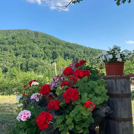 Mara Апартаменты Мокра-Гора